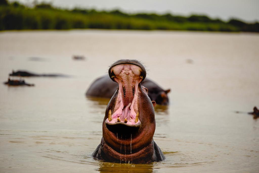Saint Lucia Estuary 앳 해리티지 하우스 B&B 외부 사진